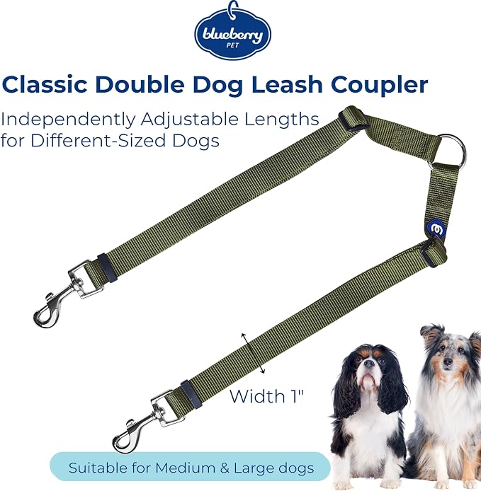 Blueberry Pet Essentials Durable Classic Double Dog Leash Coupler, Military Green, Medium/Large, Dual Walking & Training Leashes for Two Dogs