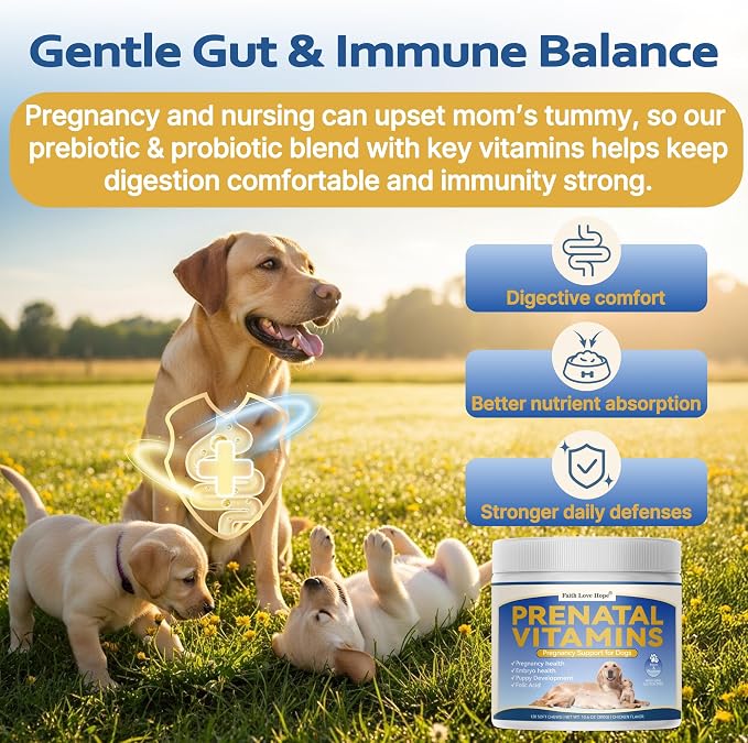 Dog Prenatal Vitamins - Supports Pregnancy Wellness, Puppy Growth & Lactation and Recovery | Riched Essential Nutrients - DHA, Folic Acid,Iron, Calcium | Advanced Multivitamin for Pregnant and Nursing