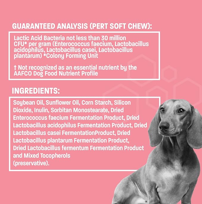 Probiotic Oral Paste for Dogs & Cats - Support Healthy Digestion Probiotic Gel - Anti Diarrhea for Dogs and Cat Probiotics for Diarrhea - for Traveling, Kenneling and Training - 30 cc