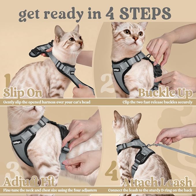 rabbitgoo Cat Harness and Leash Set, Escape Proof Vest, Grey | Soft Breathable Mesh, Easy Adjustable Fit, Snap Buckles, Sturdy Clip, Reflective Strips, for Kittens & Small Cats Walks, Xxs