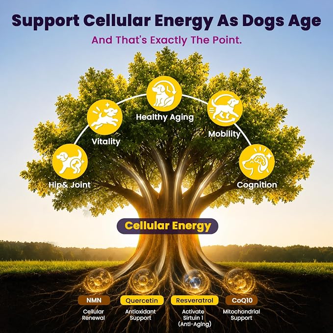 VUN Senior Dog NAD+ Longevity Supplement,NMN Healthy Aging Chews for Dogs
