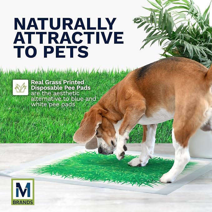 Big Dawg Pet Supplies Absorbent Puppy Pee Pads for Dogs & Cats – 24x24” Disposable Pet Pads – Handy Grab-n-Go Box – Potty Training & Housebreaking Supplies – Color, Grass – 40pc