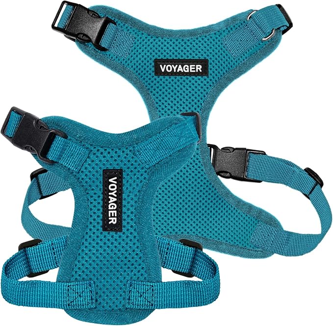Voyager Step-in Lock Dog Harness - Turquoise, Large | 20 - 25" in Chest, Adjustable, Breathable Air Mesh, Lightweight for Daily Walks, Strong Clips, Heavy Duty D-Ring