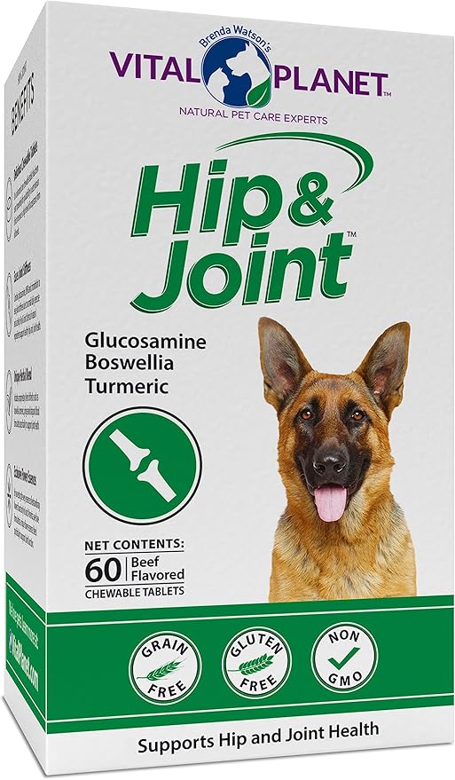 Vital Planet - Natural Hip and Joint Supplement for Dogs - Potent Herbal Blend with Green Lipped Mussel, MSM and Glucosamine Beef Flavor (60 Chewable Tabs)