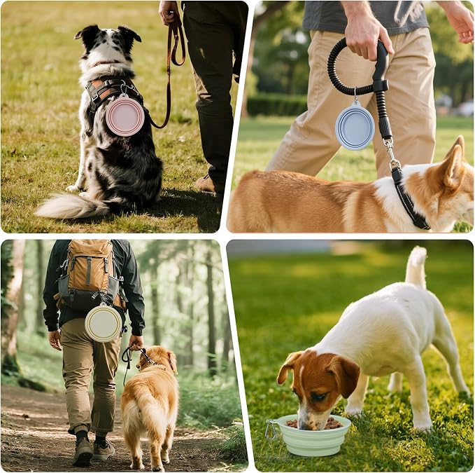 2-Pack Collapsible Dog Bowl, 12oz Silicone
