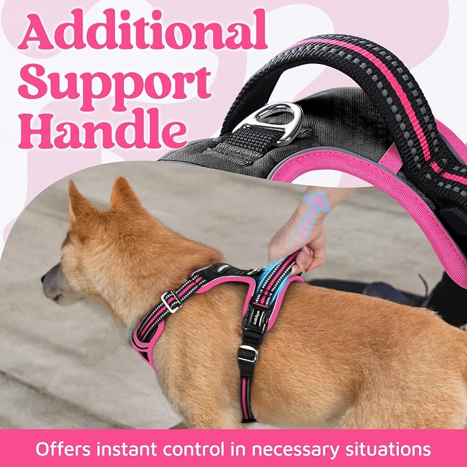 rabbitgoo Dog Harness for Large, No Pull 3 Buckles Easy On & Off | Soft Padded, Walking with Control Handle, Adjustable and Reflective, Black & Pink, Large