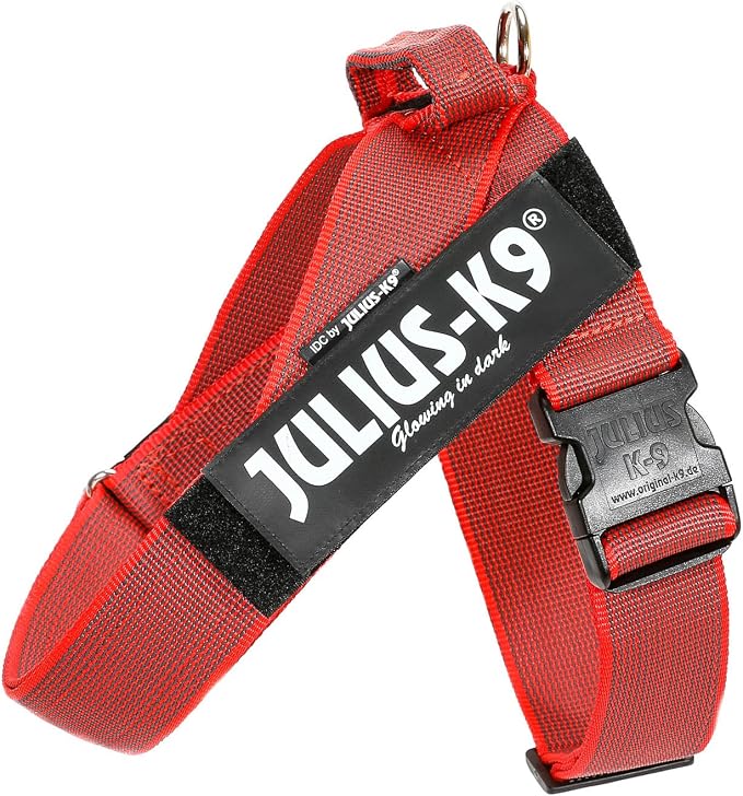Julius-K9 IDC Color & Gray Belt Harness, Size: XL/2, Red-Gray
