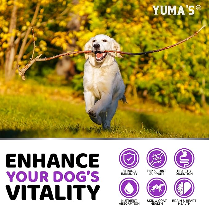 Dog Vitamins and Supplements, 240 Treats, Dog Multivitamin with Glucosamine | Senior & Puppy Multivitamin for Dogs, Hip & Joint Support, Immune Health, Skin, Heart, Digestion, Probiotics, Vet Formulated