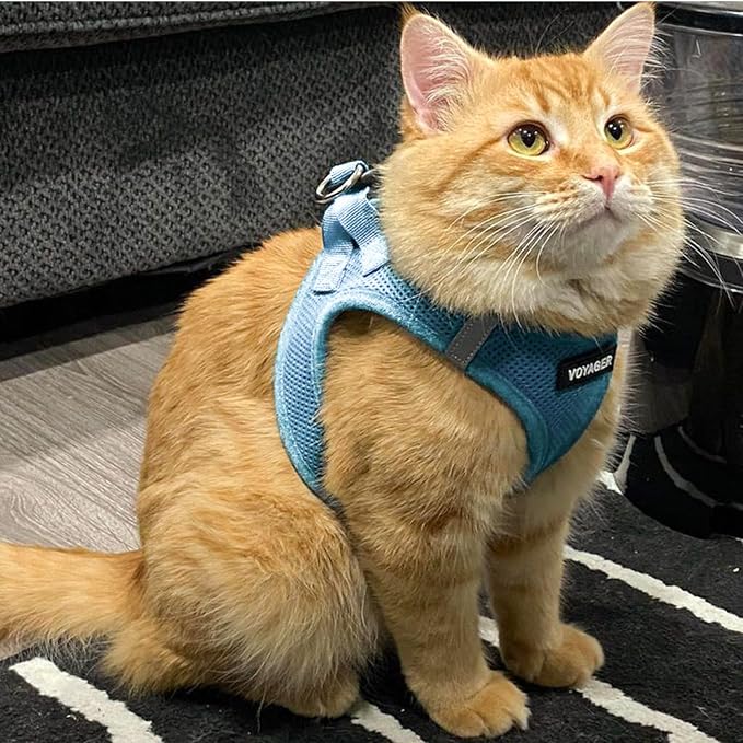 Voyager Step-in Pet Harness - All Weather Mesh, Adjustable Step in Harness for Cats and Dogs by Best Pet Supplies - Baby Blue, S (Chest 14-16")