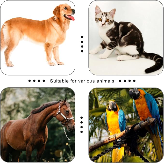 Pet Training Clicker with Strap, Black & White