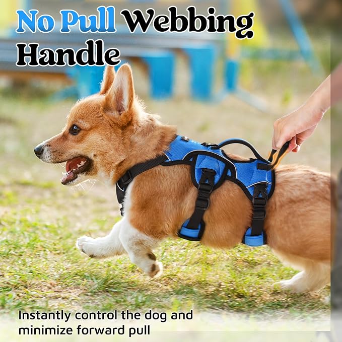 rabbitgoo Escape Proof Dog Harness for Small, No Pull with Lift Handle | No Escape, Full Soft Padded, Reflective Adjustable Vest, Leash Clip for Walking Hiking Training, Blue, Small