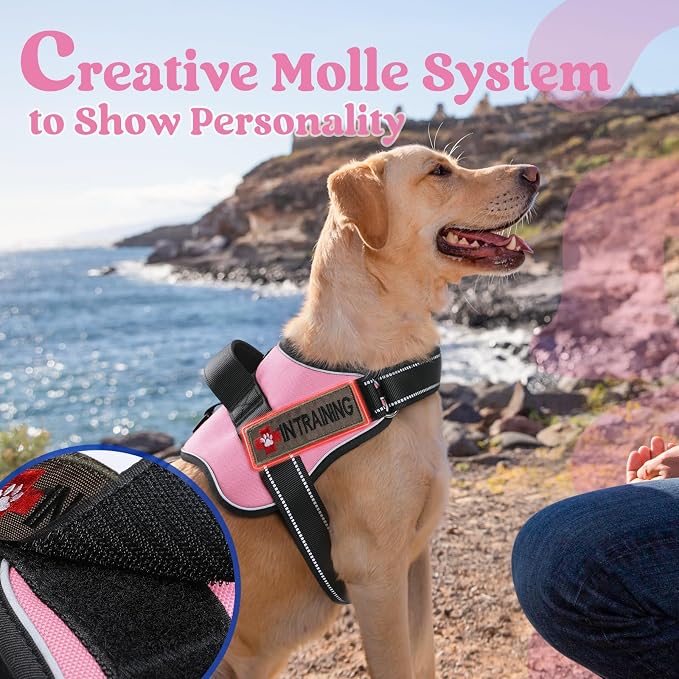 rabbitgoo No Pull No Choke Pet Vest, Adjustable Pet Harness with Molle | Large Sized Dog Harness, Reflective, Easy Wearing with One Buckle for Walking, Training, Pink, L