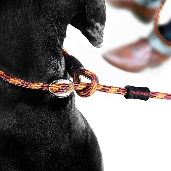 EzyDog Luca Slip Lead Dog Leash, 5.5 ft, Collar Leash Combo - LITE, Black | Slip On and Go Convenience, Durable Climbing Rope, For Small Dogs, Metal Slider, Silicone Stopper Prevents Overtightening