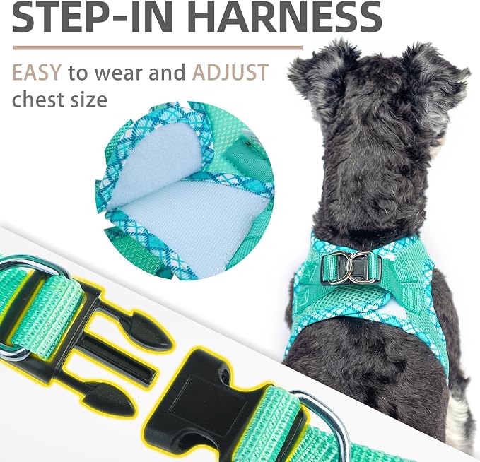 PUPTECK Dog Harness and Leash Set for Small Medium Dogs No Pull Step-in Soft Mesh Puppy Cat Vest Harnesses Reflective at Night, Green XS