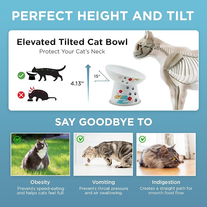 Necoichi Raised Cat Food Bowl – Ceramic Elevated 15° Tilted Cat Bowl for Whisker & Neck Fatigue, Dishwasher Microwave Safe – Non-Slip & Anti Vomiting Ergonomic Design (Fuji, Regular Tilted)