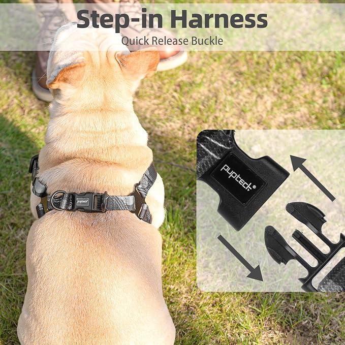 PUPTECK No Pull Dog Harness Small Sized Step-in Adjustable Puppy Vest | Soft Webbing Basic Halter with Leash for Outdoor Walking