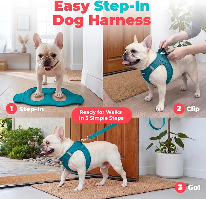 Voyager Step-in Air Dog Vest Harness - Turquoise, X-Large | 20.5 - 23" in Chest, Reflective Bands, All Weather Breathable Air Mesh, Cats Compatible, Lightweight, Fast Drying
