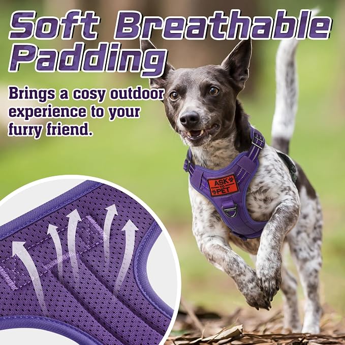 rabbitgoo Tactical Dog Harness for Small, No Pull Military Service Vest | Molle & Handle, Heavy Duty, Adjustable, Reflective Straps, Easy Control for Training Walking, Purple, Small