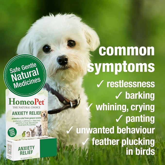HomeoPet Anxiety Relief