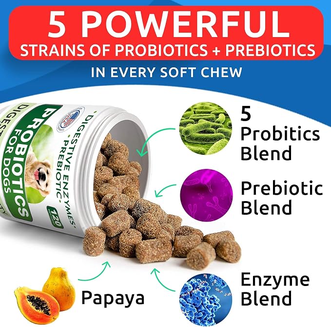 Dog Probiotics Chews Bundle - Gas, Diarrhea, Allergy, Constipation, Upset Stomach Relief, with Digestive Enzymes + Prebiotics - Chewable Fiber Supplement - Improve Digestion, Immunity - 300 Soft Chews