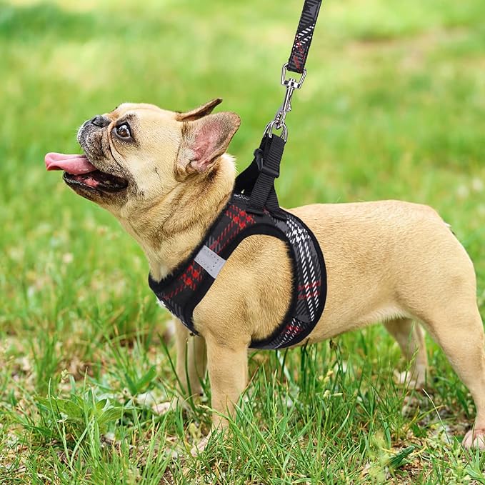 PUPTECK Dog Harness and Leash Set for Small Medium Dogs No Pull Step-in Soft Mesh Puppy Cat Vest Harnesses Reflective at Night, Plaid Pattern Black S