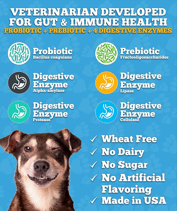 Well Loved Probiotics for Dogs, Dog Probiotics, Made in USA, Vet Developed