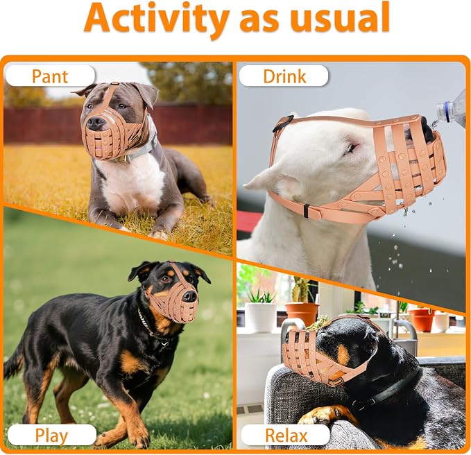 Pitbull Dog Muzzle for Large Medium Dogs Prevent Biting Scavenging | Fits Rottweiler Amstaff Broad-nosed Breed, Sturdy Breathable Basket, Training Walking Use, Allows to Drink | Apricot, L