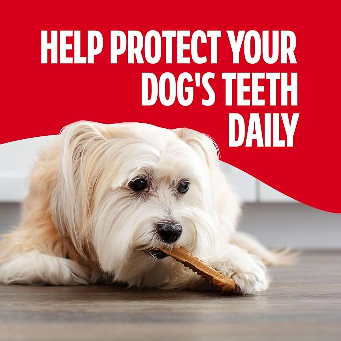 Milk-Bone Brushing Chews Original Chicken Flavor Daily Dental Dog Treats, Mini, 18.9 Oz. Bag (Pack of 5)