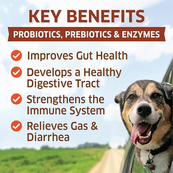 Probiotics for Dogs - Hot Spot Remedy for Dogs + Prebiotic - Dog Allergy Chews - Improve Digestion & Upset Tummy, Relieve Gas & Diarrhea, Dog Probiotics and Digestive Enzymes, 120 Dog Probiotic Chews