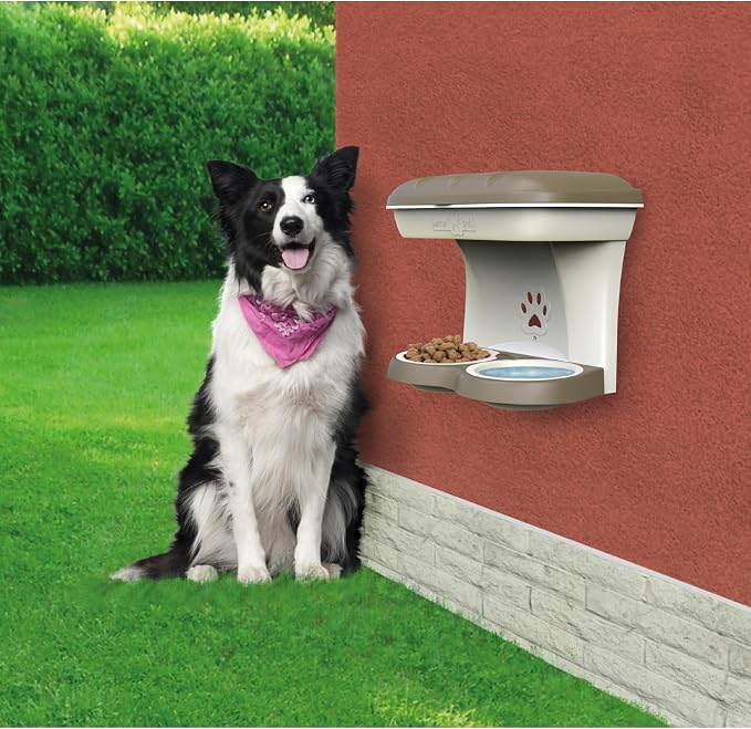 Bama Pet Elevated Food Stand - Medium