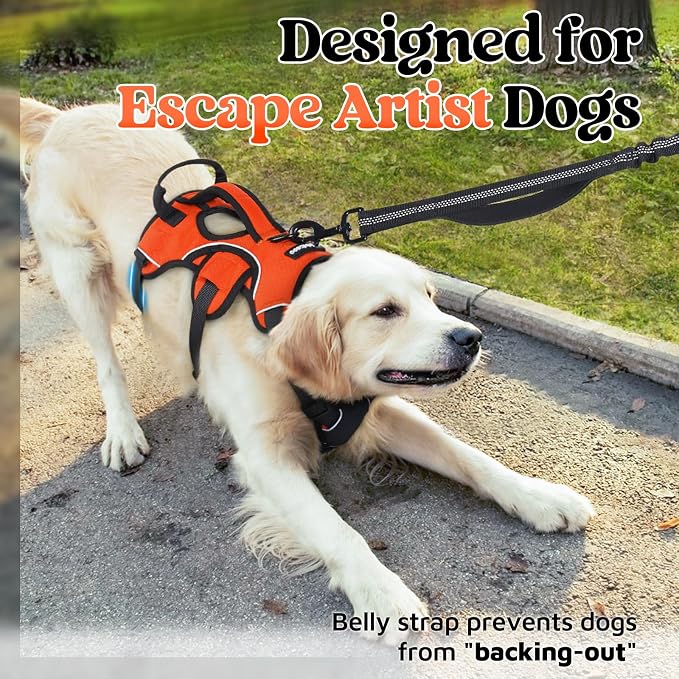 rabbitgoo Escape Proof Dog Harness for Medium, No Pull with Lift Handle | No Escape, Full Soft Padded, Reflective Adjustable Vest, Leash Clip for Walking Hiking Training, Orange, Medium