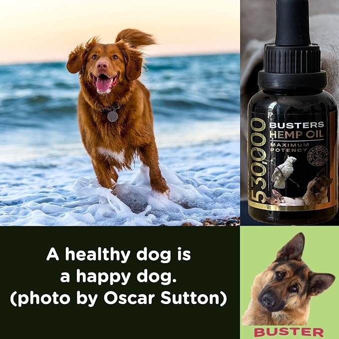 Buster's Hemp Oil for Dogs & Cats, Calm, Joint, Coat, 2-Pack 30ml