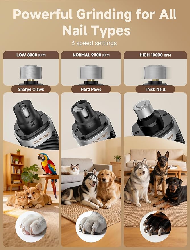 Dog Nail Grinder with 2 LED Lights, 3-Speed, Black