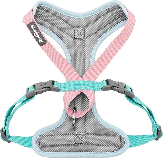 Blueberry Pet Vibrant Mesh Padded Ultra Cool Lightweight Dog Harness Vest in Coral, Medium, Neck 17¾", Chest 20"~24¾"
