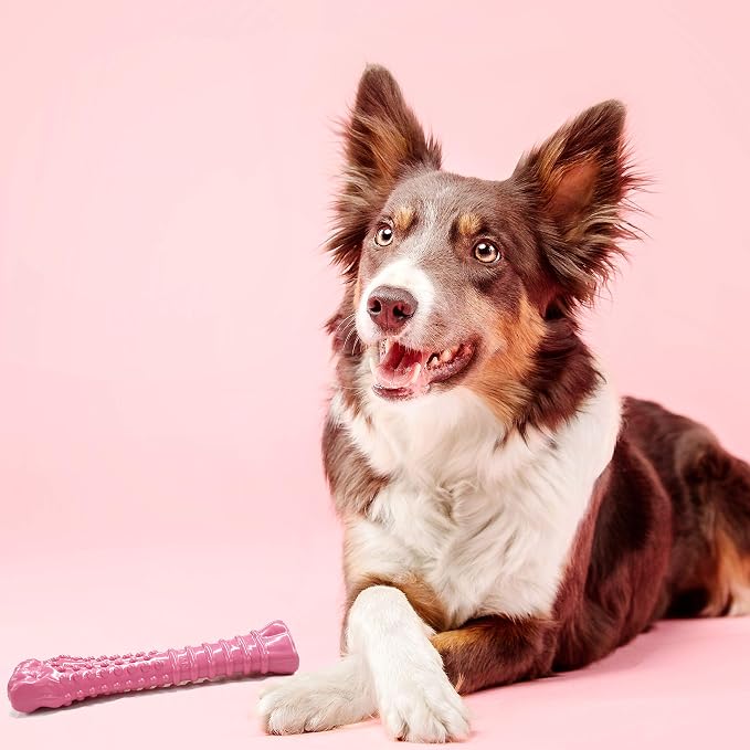 Nylabone Power Chew Breast Cancer Awareness Femur Bone Chew Toy for Dogs, Indestructible Dog Toys for Aggressive Chewers, Chicken Flavor, X-Large/Souper (1 Count) | X-large, chicken flavor, teeth-cleaning textures, durable dog toys for aggressive chewe...
