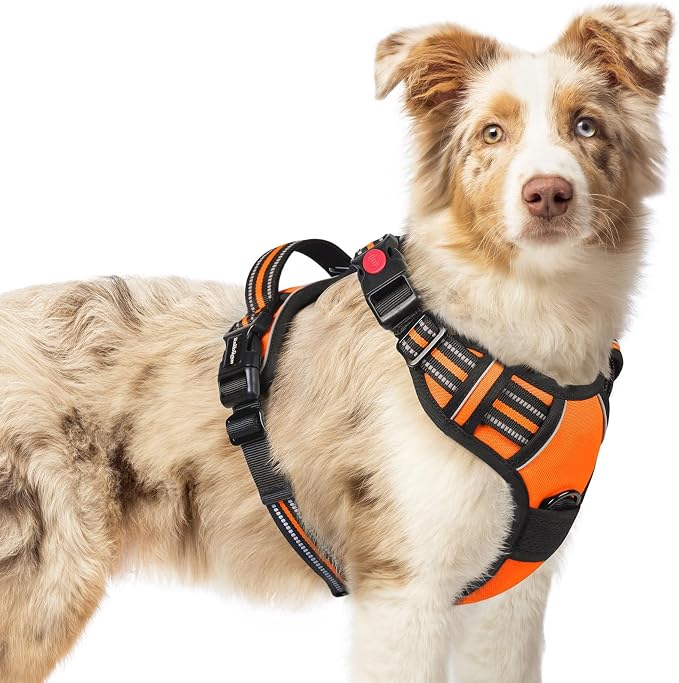 rabbitgoo Dog Harness Medium Sized, Updated Easy On & Off with 3 Buckles | No Pull No Choke, Walking with 2 Clips and Handle, Adjustable Soft Reflective, Orange, Medium