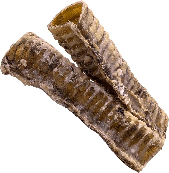 Nature's Logic Beef Trachea Dog Chew Treat - 100% USDA Prime Beef, All Natural Single Ingredient Dog Snack - Promotes Dental Hygiene - High Protein, Carnivore Recreation - Beef Trachea Treat, 1lb