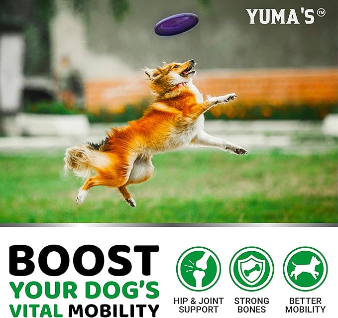 YUMA'S Glucosamine for Dogs - 240 Chews - Hip & Joint Supplement for Dogs