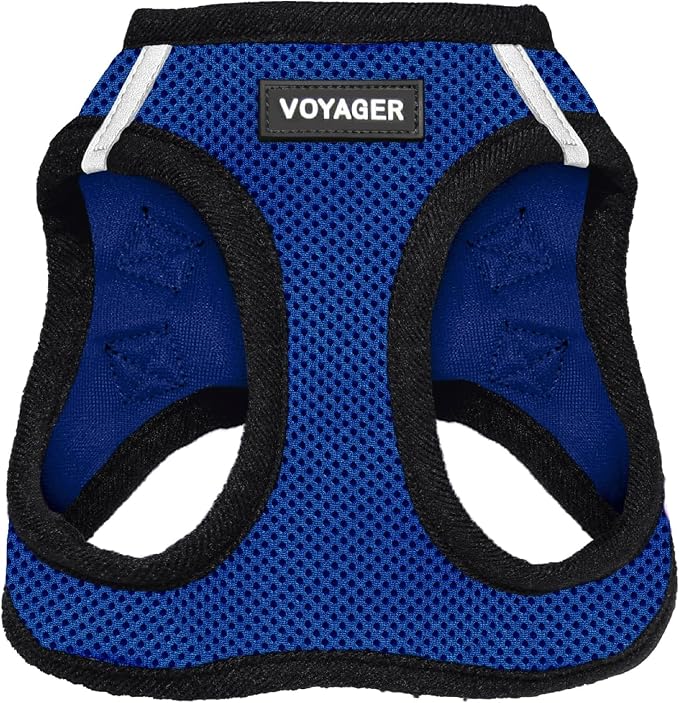 Best Pet Supplies Voyager Step-in Air Harness - All Weather Mesh, Reflective, No Pull Harness for Dogs, Cats - Secure with Hook & Loop Fastener, Buckle, Double D-Rings - Royal Blue/Black Trim, XXS