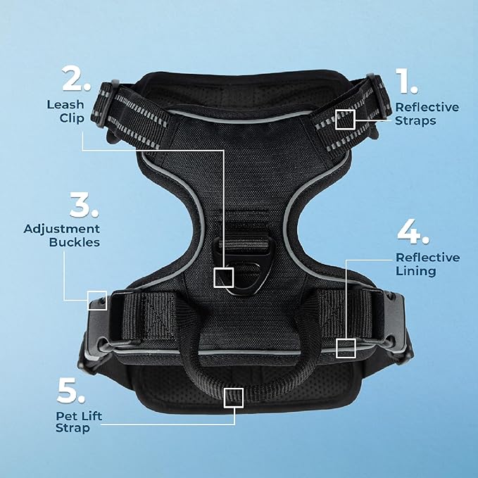 Voyager Dual Attachment No Pull Harness - Black, Small | 16 - 20" in Chest, No Pull Dog Harness, Fully Adjustable, 3M Reflective Technology, Front & Back D-Rings, Walking & Training