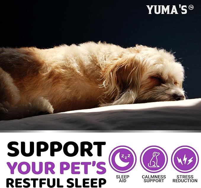 Melatonin for Dogs - 170 Chews - Melatonin Chews for Small and Large Dogs