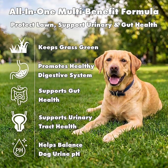 Dog Grass Green Chews for Lawn Burn & Urine Spots, DL-Methionine & Cranberry Supplement, Urine Neutralizer, Supports Urinary Health with Probiotics & Enzymes, 120 Ct