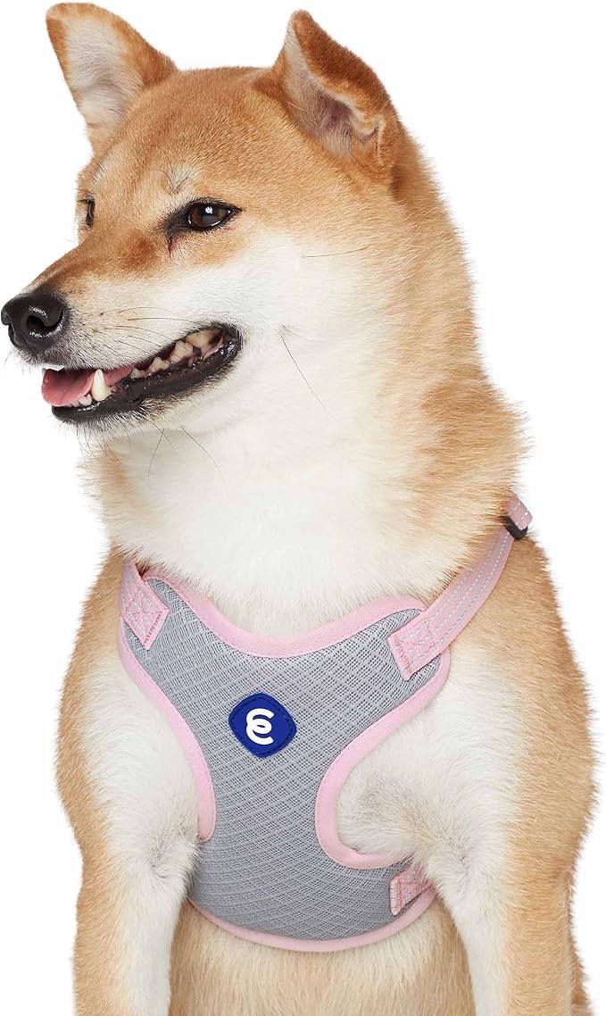 Blueberry Pet Essentials Back to Basics Reflective Dog Harness Vest, Candy Pink, Medium, Adjustable Harnesses for Dogs