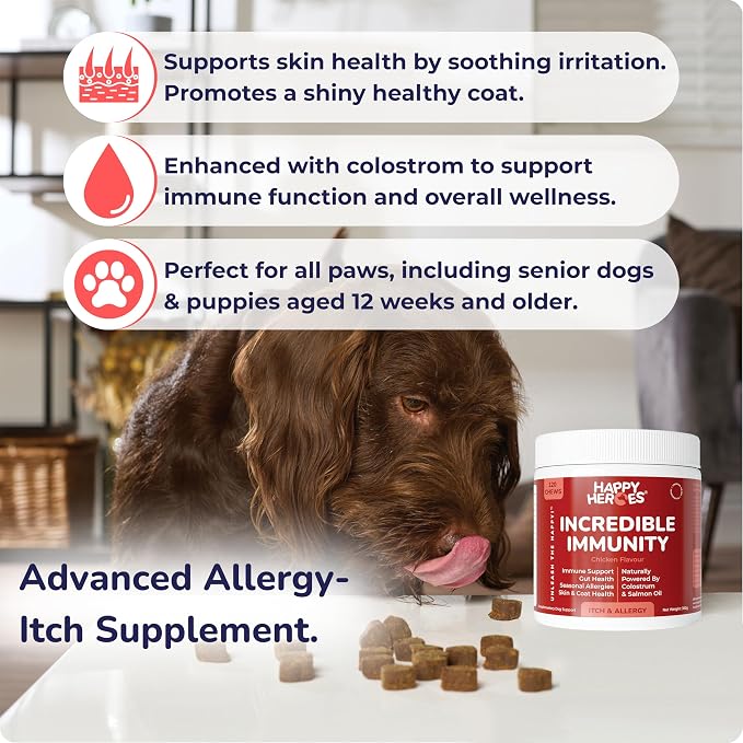 Incredible Immunity Supplement for Dog Allergy & Itch Relief