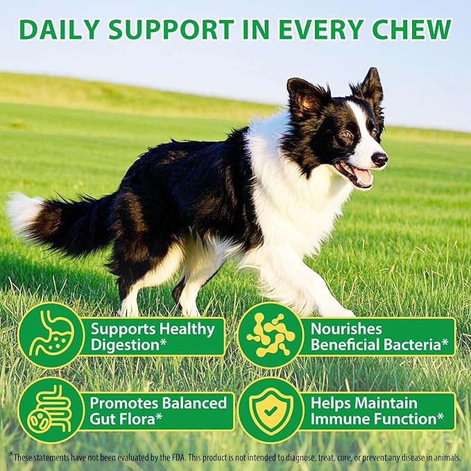Probiotics for Dogs Chews – Digestive & Gut Health Support, Helps Maintain Stool Quality & Balance During Food Changes, with Prebiotics & Enzymes, Chicken Flavor, 120 Soft Chews