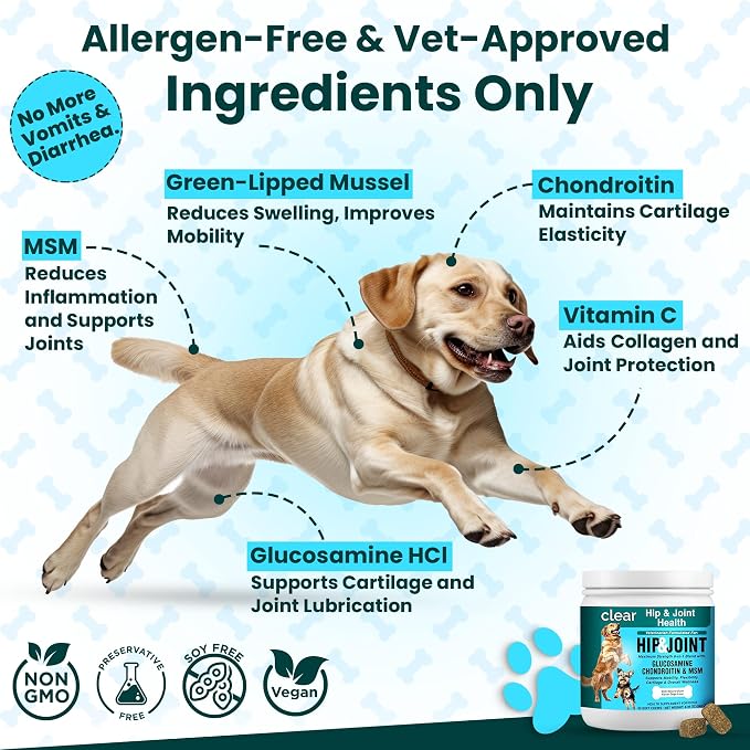 Glucosamine for Dogs Hip and Joint Supplement - Chondroitin, MSM, Green-Lipped Mussel - Clear Hip & Joint - Advanced Mobility Cartilage Support, Bone Health - Tasty Chews 60ct - Made in USA