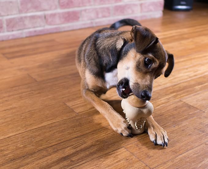 Starmark RubberTuff Treat Bone Small Dog Toy