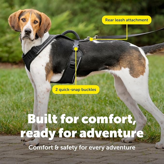 PetSafe EasySport Dog Harness, Black, Large | Padded, Elastic Neckline Harness for Active Dogs, Reflective Piping for Visibility, Top Control Handle, Rear Leash Clip