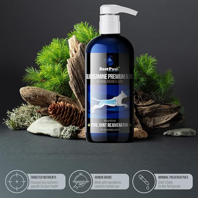Liquid Glucosamine for Dogs | Glucosamine Chondroitin MSM with Hyaluronic Acid | Hip and Joint Supplement | Bacon Flavor | Easy Pump Food Topper | 16oz