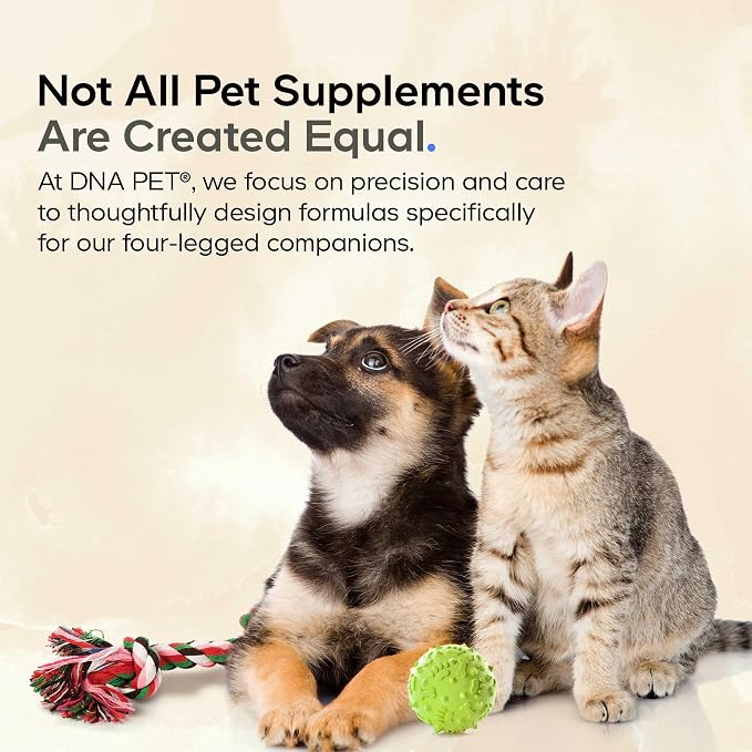 DNA PET Beef Organs Powder for Dogs, Grass-Fed, Freeze-Dried, 3 oz